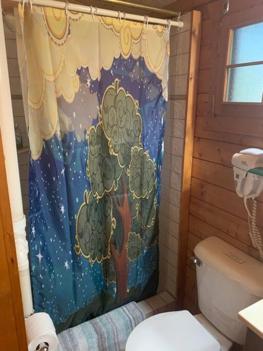 Fancy Fireflies Cabin Hayward Exterior photo